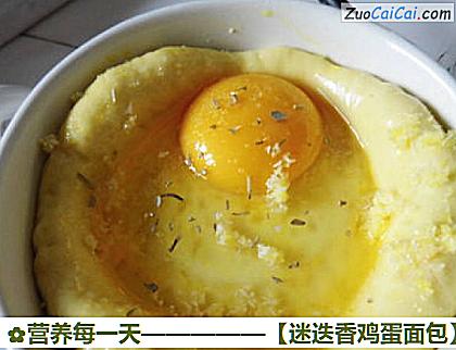 迷迭香鸡蛋面包做法第十步骤