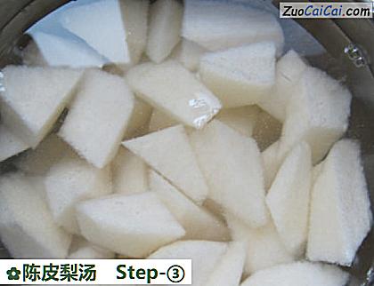 陈皮梨汤做法第三步骤