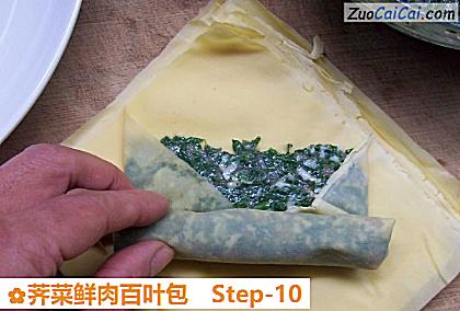 荠菜鲜肉百叶包做法第十步骤
