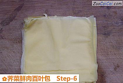 荠菜鲜肉百叶包做法第六步骤
