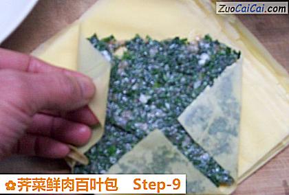 荠菜鲜肉百叶包做法第九步骤