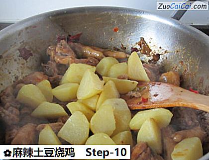 麻辣土豆烧鸡做法第十步骤