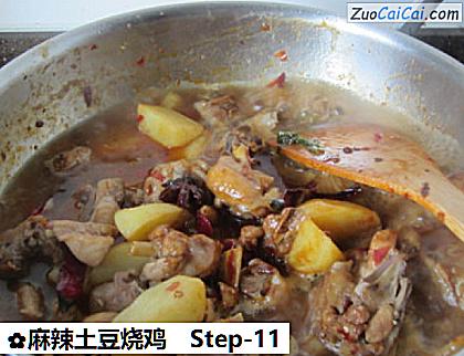 麻辣土豆烧鸡做法第十一步骤
