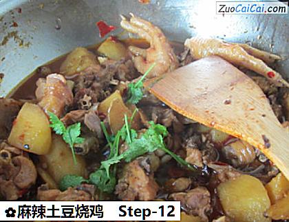 麻辣土豆烧鸡做法第十二步骤