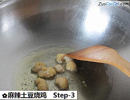 麻辣土豆烧鸡做法第三步骤