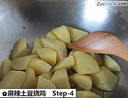 麻辣土豆烧鸡做法第四步骤