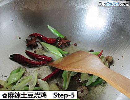 麻辣土豆烧鸡做法第五步骤