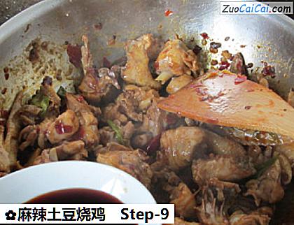 麻辣土豆烧鸡做法第九步骤