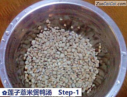 莲子薏米煲鸭汤做法第一步骤