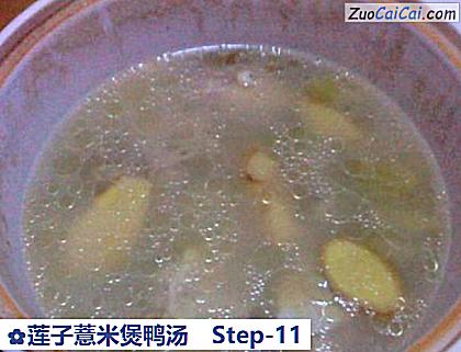 莲子薏米煲鸭汤做法第十一步骤