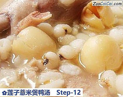 莲子薏米煲鸭汤做法第十二步骤