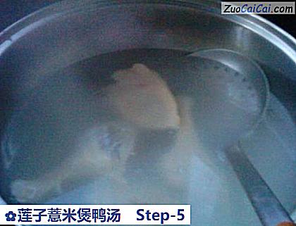 莲子薏米煲鸭汤做法第五步骤
