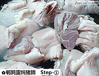 鹌鹑蛋炖猪蹄做法第一步骤