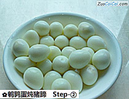 鹌鹑蛋炖猪蹄做法第二步骤