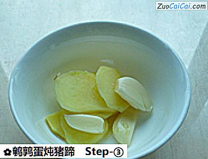 鹌鹑蛋炖猪蹄做法第三步骤