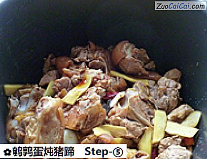 鹌鹑蛋炖猪蹄做法第五步骤