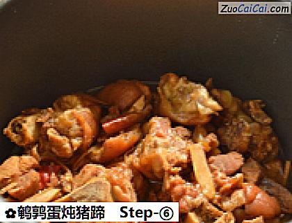 鹌鹑蛋炖猪蹄做法第六步骤
