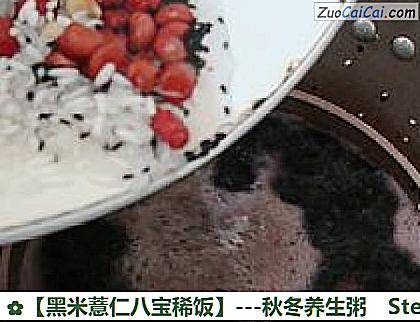 黑米薏仁八宝稀饭做法第四步骤