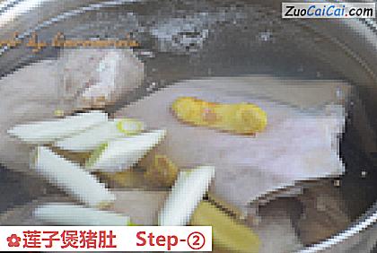 莲子煲猪肚做法第二步骤