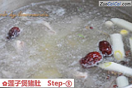 莲子煲猪肚做法第五步骤