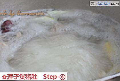 莲子煲猪肚做法第六步骤