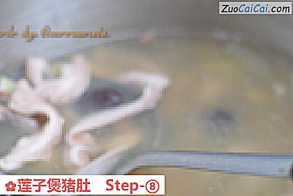莲子煲猪肚做法第八步骤