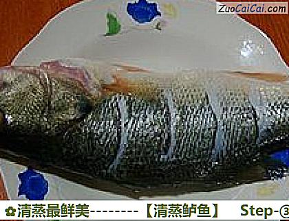 清蒸鲈鱼做法第三步骤