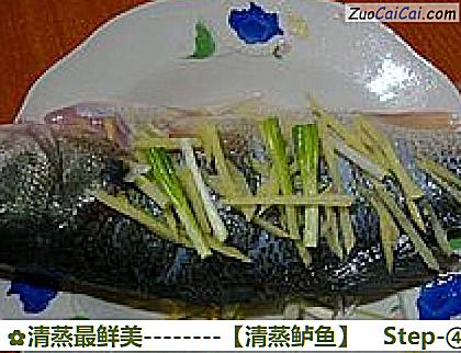 清蒸鲈鱼做法第四步骤