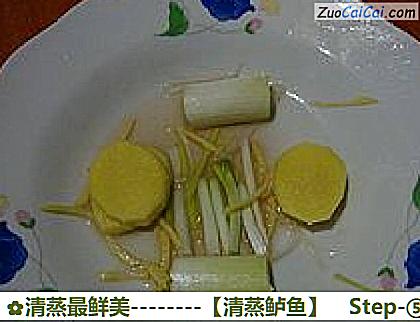 清蒸鲈鱼做法第五步骤