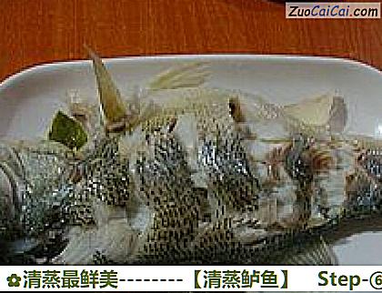 清蒸鲈鱼做法第六步骤