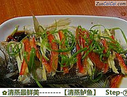 清蒸鲈鱼做法第七步骤