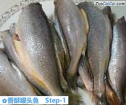 香酥罐头鱼做法第一步骤