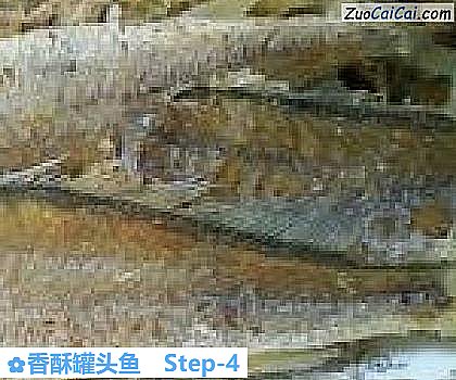 香酥罐头鱼做法第四步骤