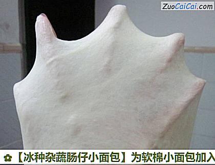 冰种杂蔬肠仔小面包做法第七步骤