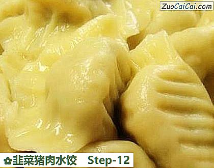 韭菜猪肉水饺做法第十二步骤