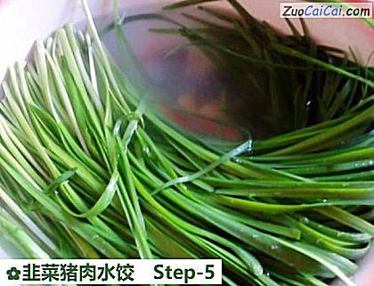 韭菜猪肉水饺做法第五步骤