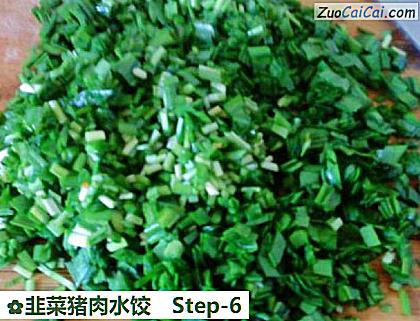 韭菜猪肉水饺做法第六步骤