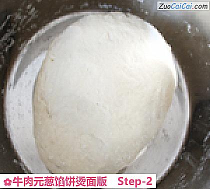 牛肉元葱馅饼烫面版做法第二步骤