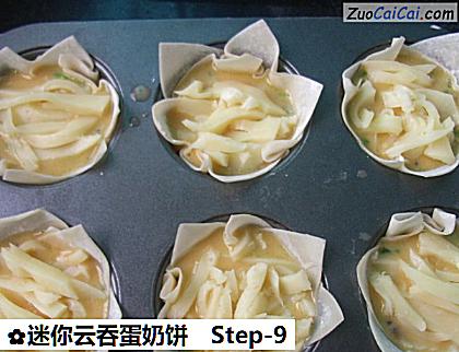 迷你云吞蛋奶饼做法第九步骤