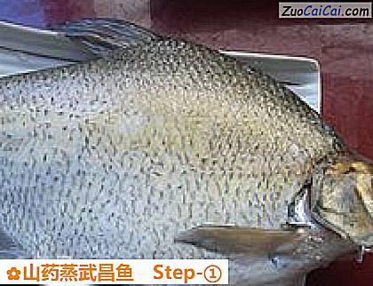 山药蒸武昌鱼做法第一步骤
