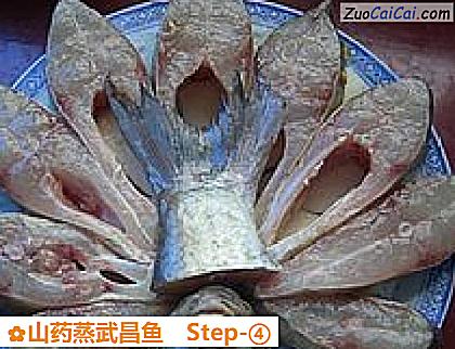 山药蒸武昌鱼做法第四步骤