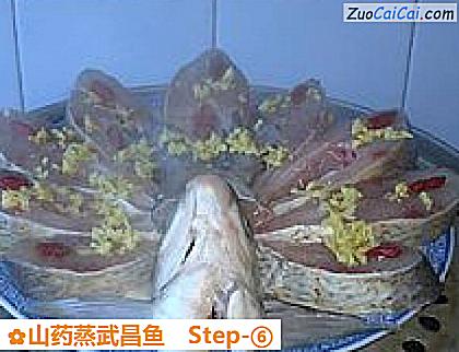 山药蒸武昌鱼做法第六步骤