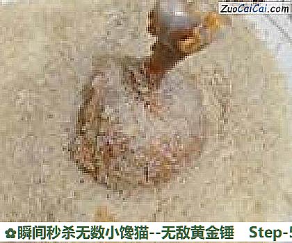 瞬间秒杀无数小馋猫－无敌黄金锤做法第五步骤