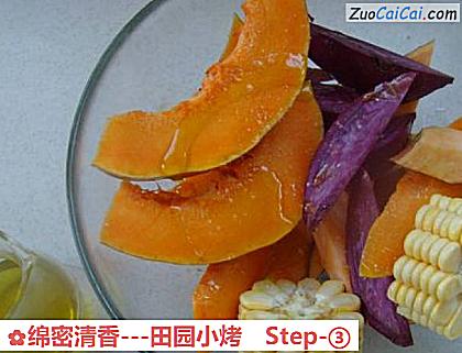 绵密清香-田园小烤做法第三步骤