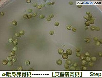 皮蛋瘦肉粥做法第四步骤