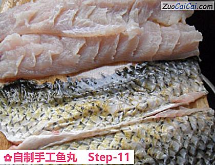 自制手工鱼丸做法第十一步骤