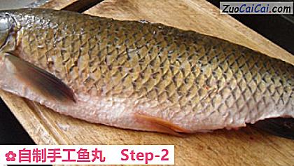 自制手工鱼丸做法第二步骤