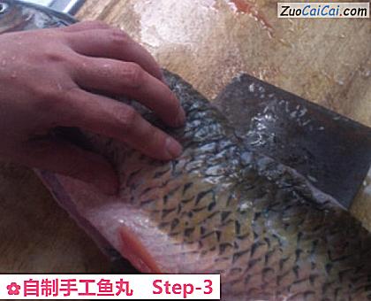 自制手工鱼丸做法第三步骤