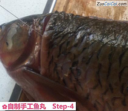 自制手工鱼丸做法第四步骤