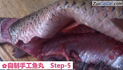 自制手工鱼丸做法第五步骤
